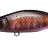 GH64 HUMPBACK(FS) AL AUTUMN HALATION