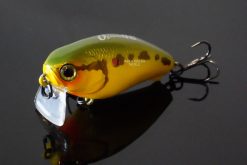 CHERRY ZERO FOOTER 48 BG FROG