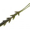 JACKALL SCISSOR COMB 2.5" GURIPAN/CHART