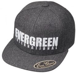 EVERGREEN FLAT CAP TYPE-1 | GRAY
