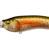 LIVE-X MODEL1 GLX RAINBOW