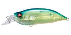 IXI SHAD TYPE-R SKELETON BLUE BACK CHART
