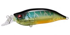 IXI SHAD TYPE-R CLEAR HOT TIGER