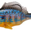 SLEEPER GILL 3.2" 3/4oz. CICHLID