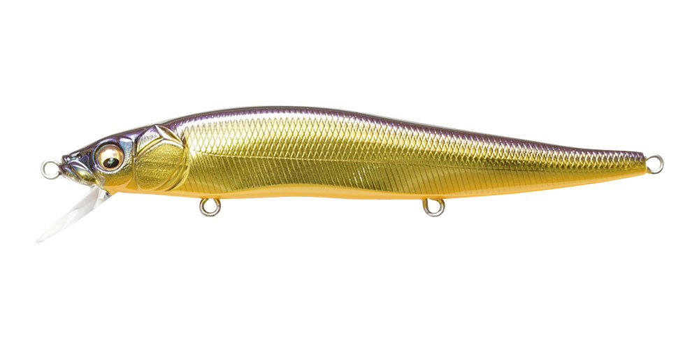 VISION ONETEN M CHAMPAGNE KINKURO