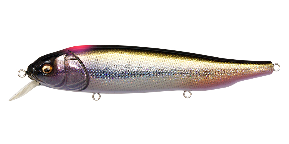 LATES FeedingWoofer DD INDICATOR SHINER