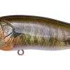 POPMAX FA (Fine Art) GILL