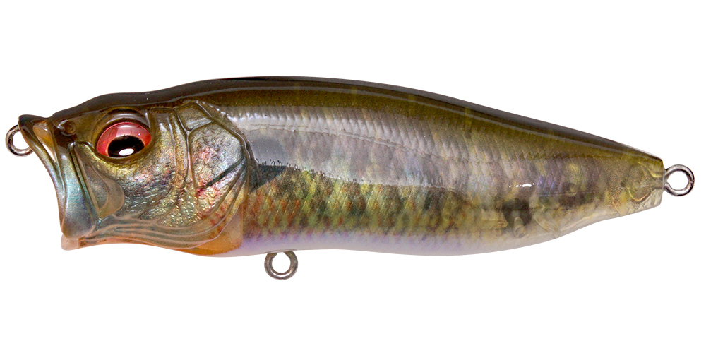 POPMAX FA (Fine Art) GILL