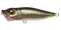 POPX FA (Fine Art) BASS