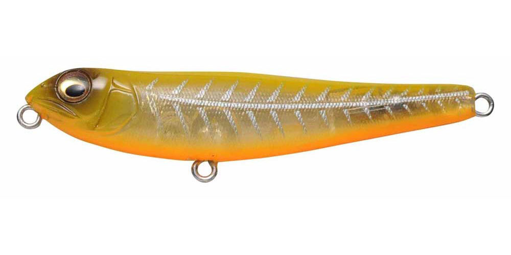 DOG-X Jr. COAYU MODENA BONE