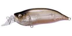 IXI SHAD TYPE-R IMAE CLASSIC