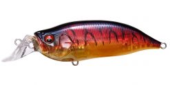 IXI SHAD TYPE-R GP SPAWN KILLER