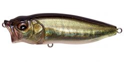 POPMAX FA BASS