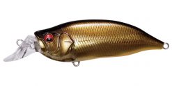 IXI SHAD TYPE-R IMAE GOLD