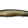 KANATA+1(SP-C) PM NORTHERN PIKE