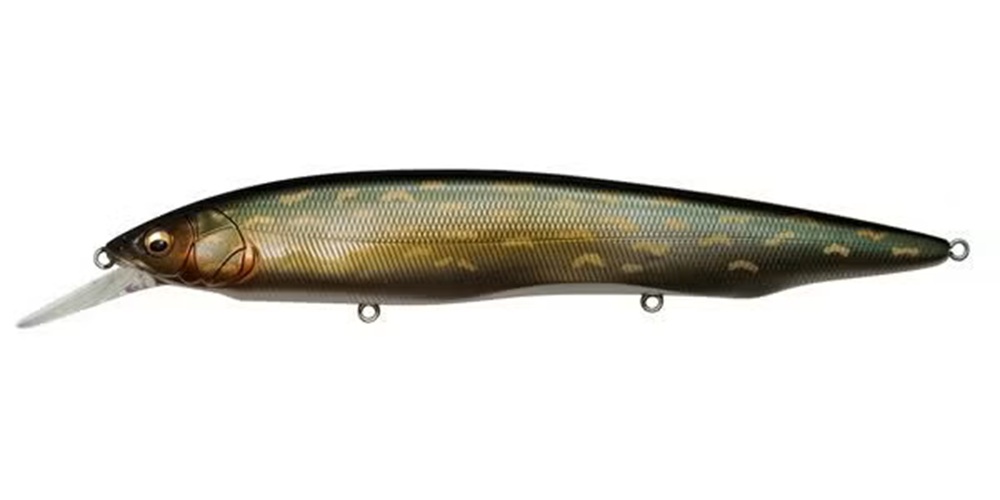 KANATA+1(SP-C) PM NORTHERN PIKE