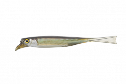 JACKALL DRIFTFRY 4.0  SWEET FISH