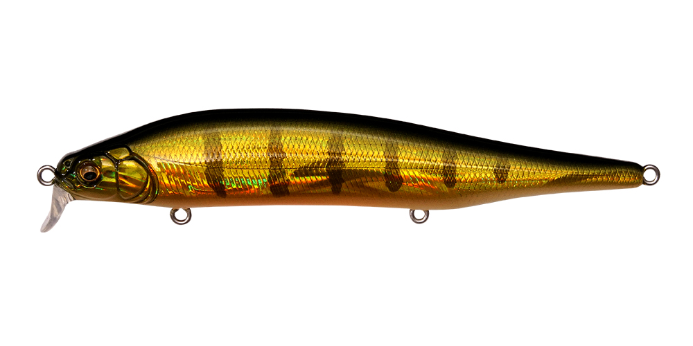 ITO SHINER SSR GG PERCH