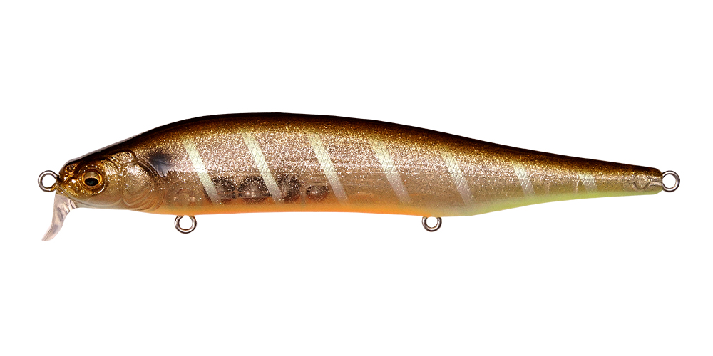 ITO SHINER SSR GLX GALAXY SHINER