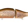 i-SLIDE 187 R Intermidiate (SP-C) FA BROWN TROUT