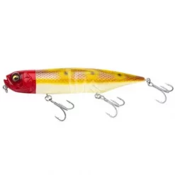 DOG-X DIAMANTE(RATTLE)(SP-C) RH MOSS-LA