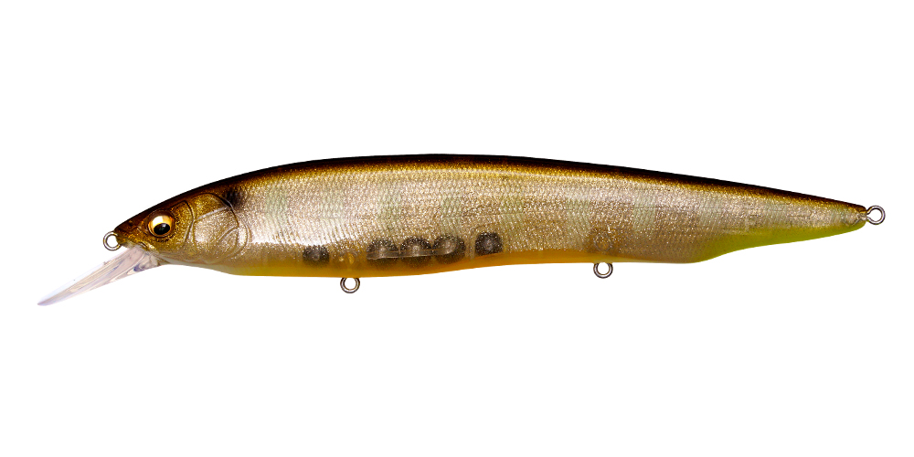 KANATA+1 GLX GALAXY SHINER