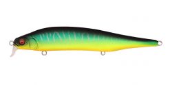 ITO SHINER SSR MAT TIGER