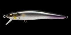 MEGABASS FX9 (SP-C) WAGIN TENRYU AYU