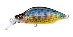 GH52 BAT A FRY LZ TAKUMI IWANA