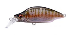 GH52 BAT A FRY LZ AUTUMN HALATION