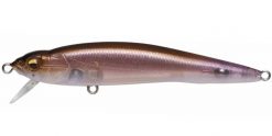 MEGABASS FX9 (SP-C) PM FINE WAKASAGI