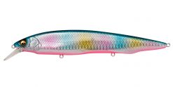 KANATA SW GLX BLUPIN RAINBOW