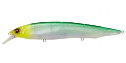 KANATA SW GP SITRUS CHART HEAD
