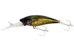 JACKALL D-Bill Shad 55SR KATSU Moebi Shad