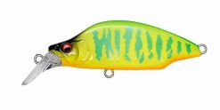 GH52 BAT A FRY(SP-C) LIME CHART TIGER