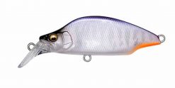 GH52 BAT A FRY(SP-C) PURPLE BACK HALATION