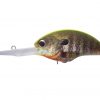 BLITZ EX DR Mat Chart Back Real Gill RP07