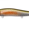 VISION ONETEN GLX RAINBOW