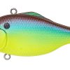VIBRATION-X SMATRA(RATTLE IN) MEGABASS BREAM