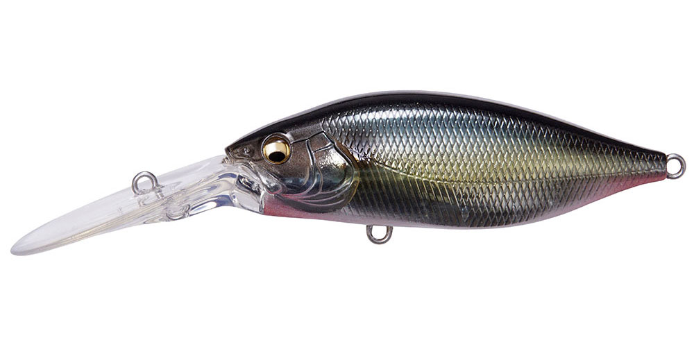 DEEP-X 200 LBO JUKUCHO SHAD