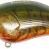 ima SQUARE BILL #178 Watermelon Craw