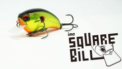 ima SQUARE BILL