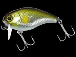JACKALL CHUBBY 38F SSR AYU