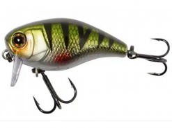 JACKALL CHUBBY 38F SSR HL PERCH