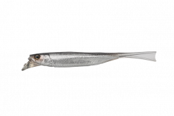 JACKALL DRIFTFRY 4.0"  SILVER POWDER SHAD