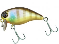 JACKALL CHUBBY 38F SSR NOIKE GILL