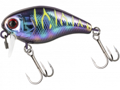 JACKALL CHUBBY 38F SSR UV UL TAMAMUSHI TIGER