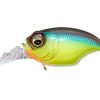 MR-X GRIFFON MEGABASS BREAM