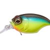 SR-X GRIFFON MEGABASS BREAM