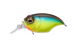 SR-X GRIFFON MEGABASS BREAM